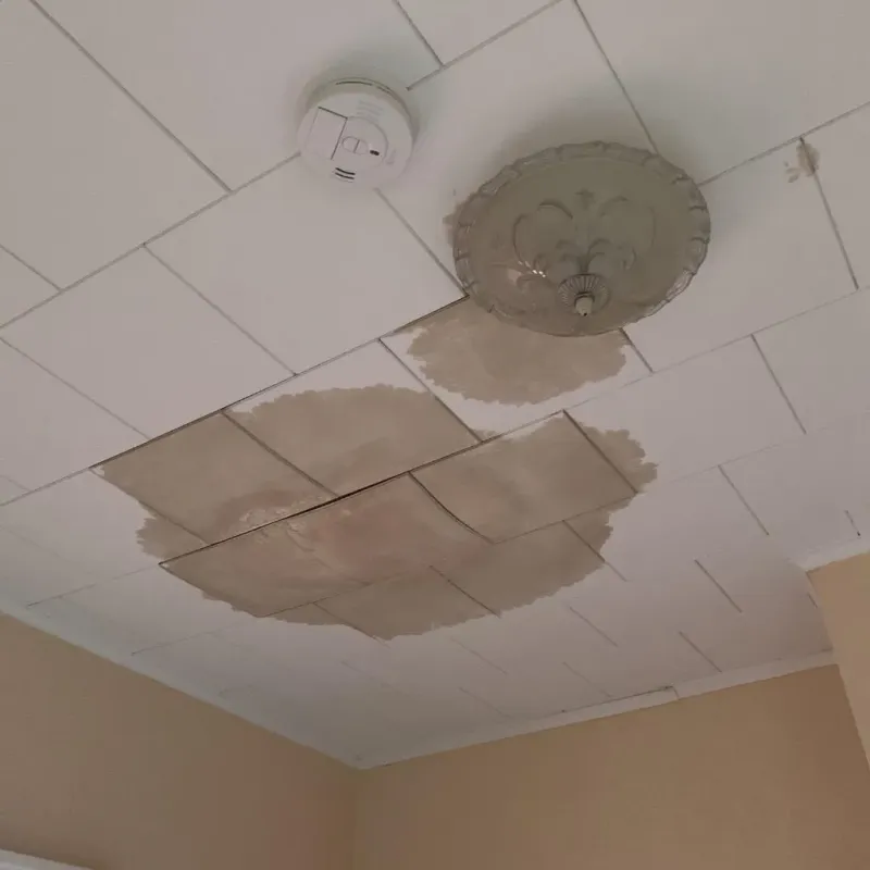 Ceiling Water Damage Repair in Dayton, OR